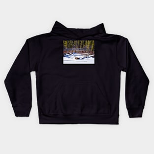 The Bridge Kids Hoodie